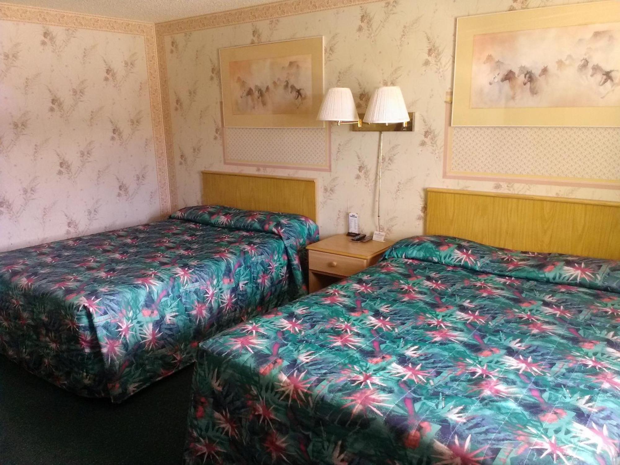 Motel 8 Willcox Zimmer foto